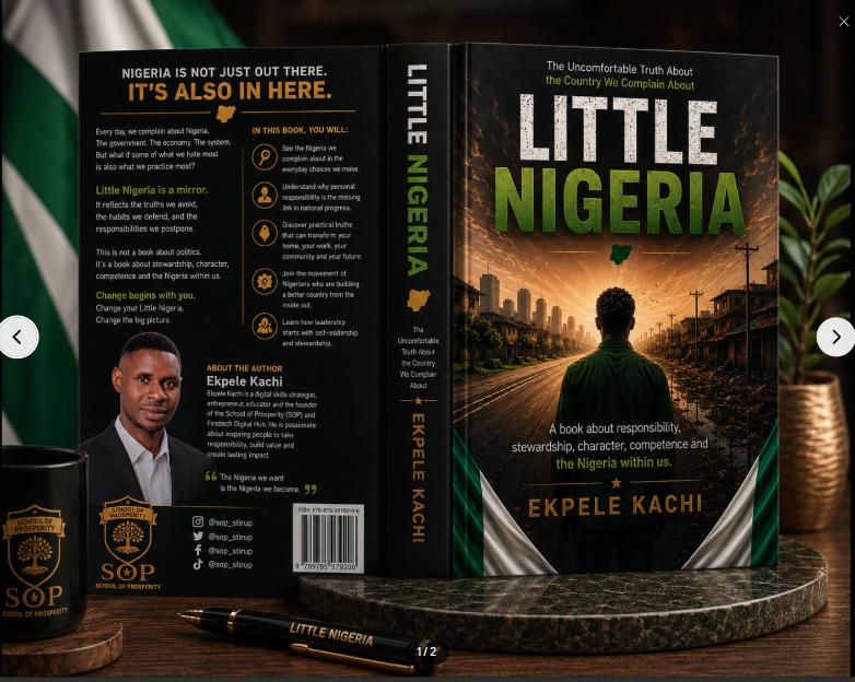 Little Nigeria Book Cover